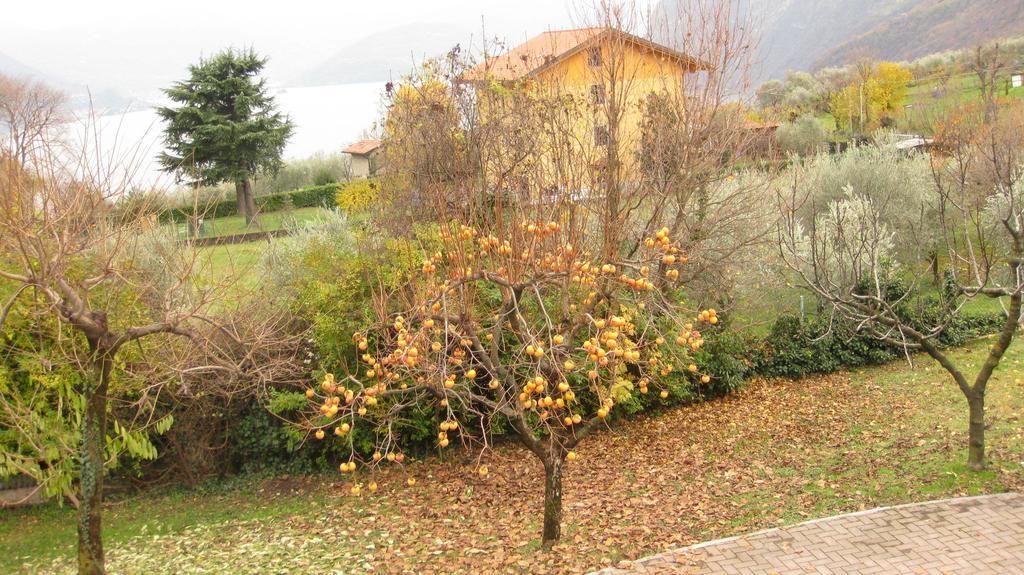 B&B Garden Solto Collina Exterior photo